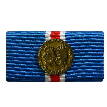 Ordensspange Sturmflutmedaille Schleswig-Holstein 1962

