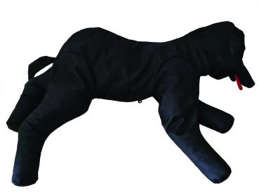 Übungspuppe Dolly Dog