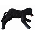 Dolly Dog Übungspuppe