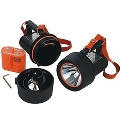 Handleuchte Wolflite H-251