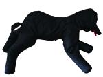 Übungspuppe Dolly Dog